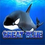 Great Blue Classic